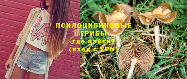 скорость Лагань
