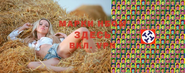 скорость Лагань