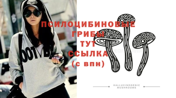 скорость Лагань