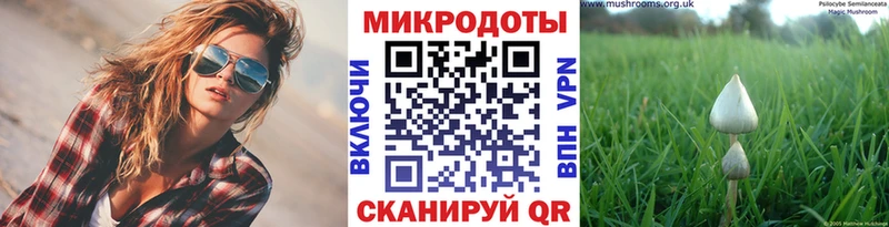 Купить  Советский  Псилоцибиновые грибы мухоморы 